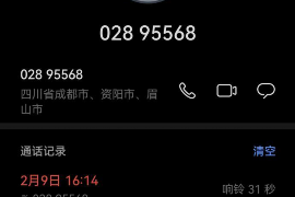 市中债务清欠服务